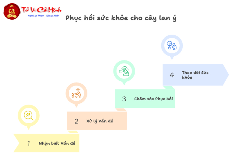 Cây Lan Ý: Hướng Dẫn Trồng Và Chăm Sóc Cây Phong Thủy Mang Lại May Mắn
