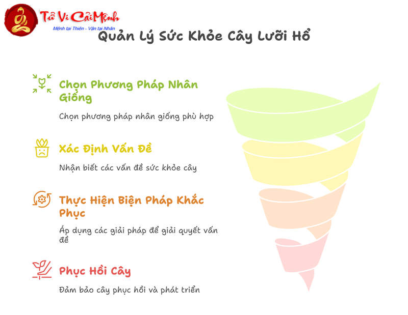 Cây Lưỡi Hổ: Hướng Dẫn Trồng Và Chăm Sóc Cây Phong Thủy Bảo Vệ Gia Đình