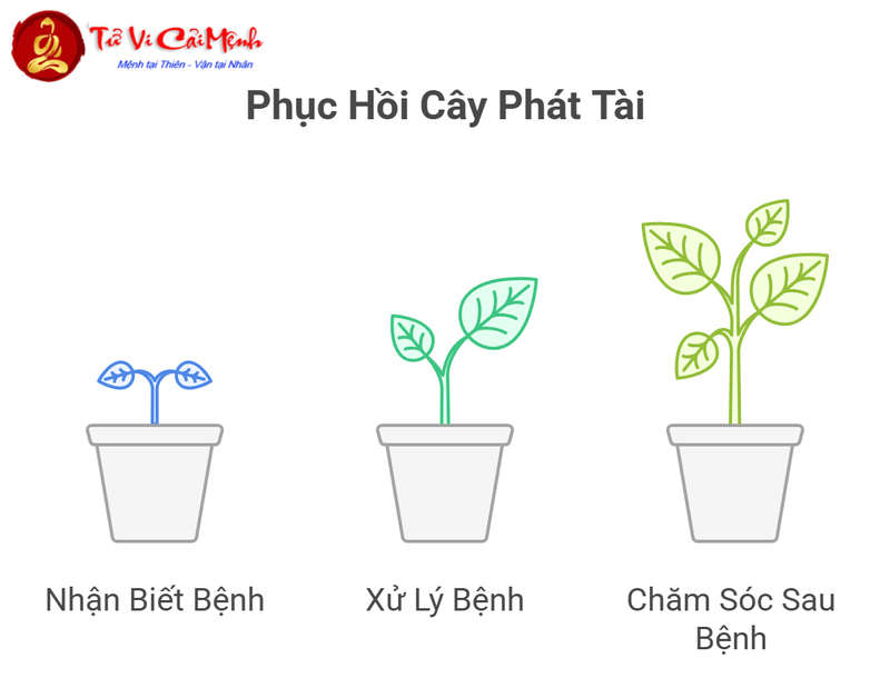 Cây Phát Tài: Hướng Dẫn Trồng Và Chăm Sóc Cây Phong Thủy Thu Hút Tài Lộc
