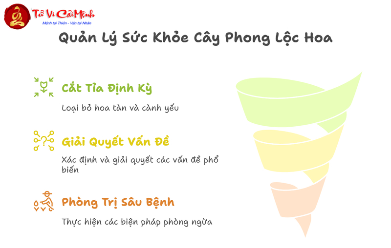 Cây Phong Lộc Hoa: Hướng Dẫn Trồng Và Chăm Sóc Cây Phong Thủy Thu Hút Tài Lộc