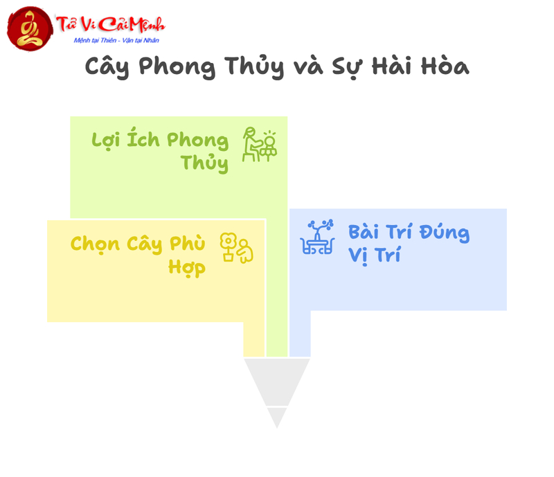 Cây Phong Thủy Theo 12 Con Giáp: Ý Nghĩa Và Cách Bài Trí