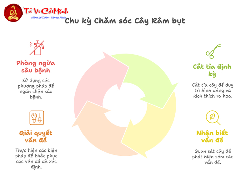 Cây Râm Bụt: Hướng Dẫn Trồng Và Chăm Sóc Cây Phong Thủy Mang Lại Thịnh Vượng