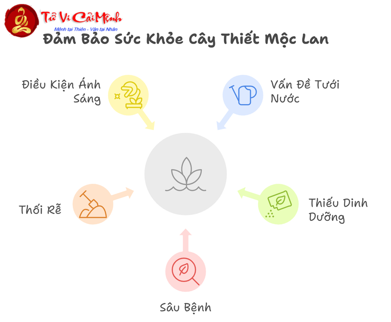 Cây Thiết Mộc Lan: Hướng Dẫn Trồng Và Chăm Sóc Cây Phong Thủy Thanh Lọc