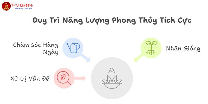 Cây Thường Xuân: Biểu Tượng Trường Thọ Và Cây Phong Thủy Mang Lại Sức Sống Bền Vững
