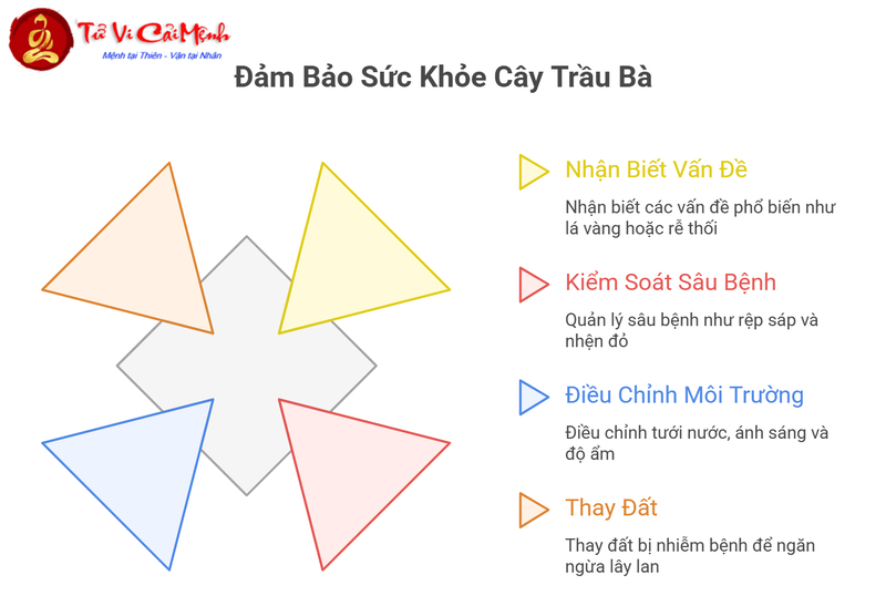 Cây Trầu Bà: Hướng Dẫn Trồng Và Chăm Sóc Cây Phong Thủy Thanh Lọc Không Khí
