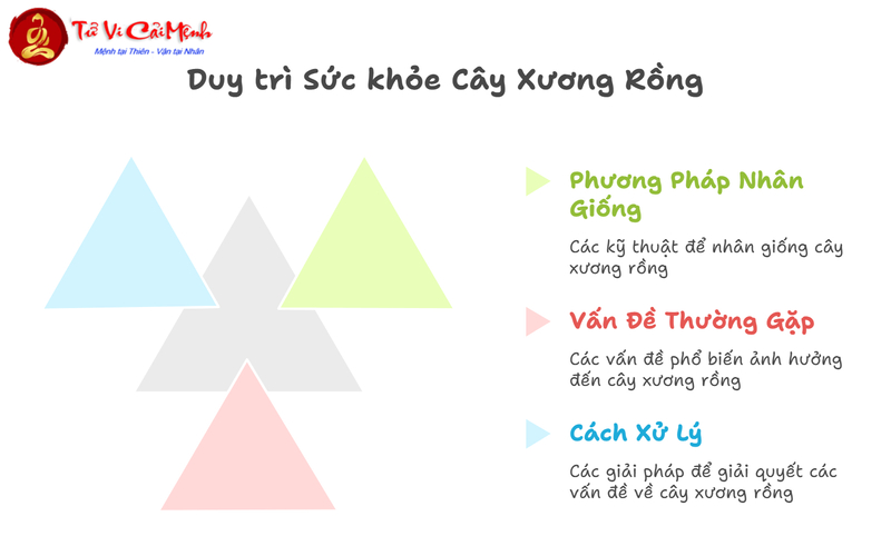 Cây Xương Rồng: Hướng Dẫn Trồng Và Chăm Sóc Cây Phong Thủy Bảo Vệ Nhà Cửa
