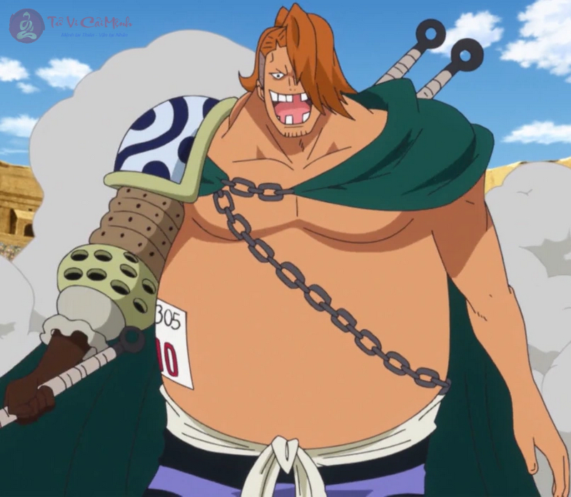 12 Cung Hoàng Đạo Trong One Piece