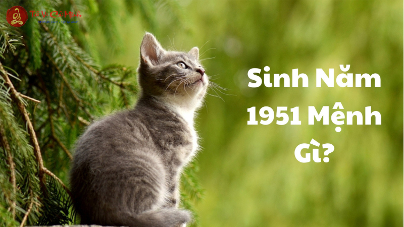 Sinh năm 1951 mệnh gì? Tìm hiểu chi tiết về người tuổi Tân Mão