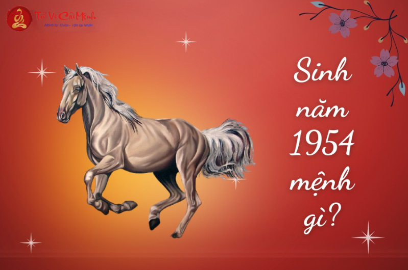 Sinh năm 1954 mệnh gì? Khám phá bản mệnh Sa Trung Kim
