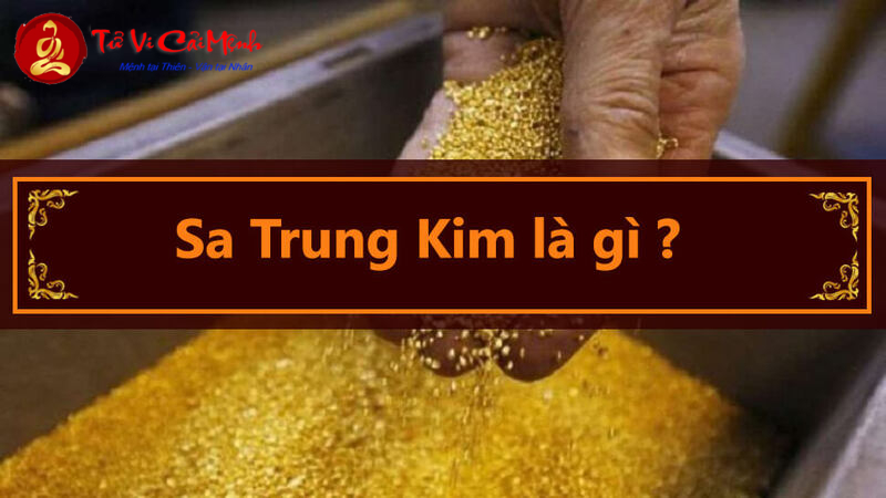 Khám Phá Số May Mắn Cho Người Sinh Năm 1955: Bí Quyết Chọn Sim Phong Thủy Hút Tài Lộc