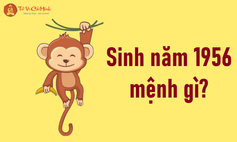 Sinh năm 1956 mệnh gì? Phân tích chi tiết về mệnh Sơn Hạ Hỏa