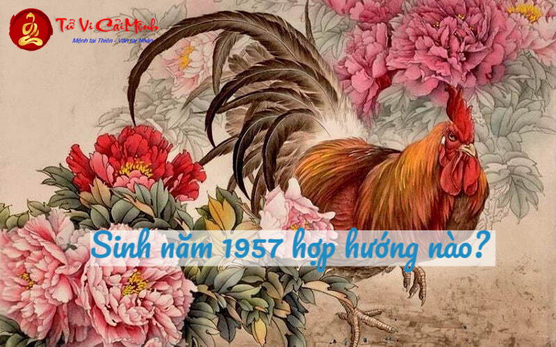 Khám Phá Bí Mật Hướng Nhà Hoàn Hảo Cho Người Sinh Năm 1957 – Đừng Bỏ Lỡ!