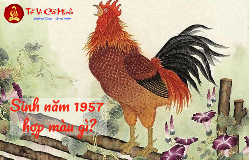 Bí Mật Màu Sắc Mang Lại Tài Lộc Cho Người Sinh Năm 1957 - Bạn Đã Biết?