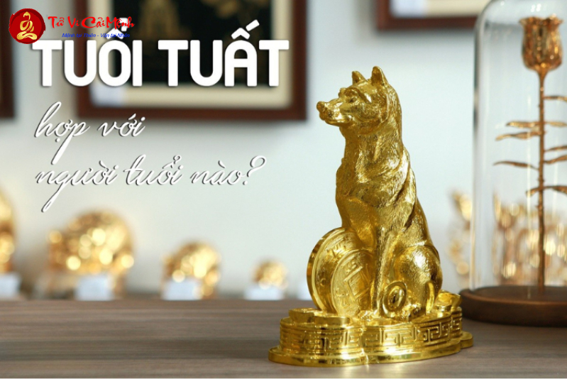 Sinh năm 1958 mệnh gì? Tìm hiểu về người tuổi Mậu Tuất