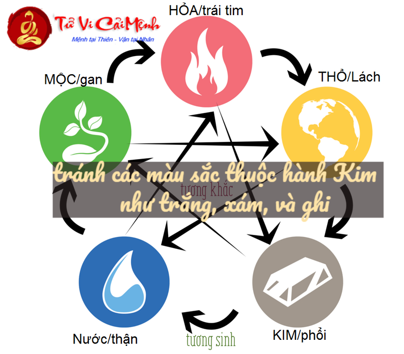 Sinh Năm 1959 Hợp Màu Gì? Khám Phá Bí Mật Phong Thủy Giúp Thay Đổi Vận Mệnh