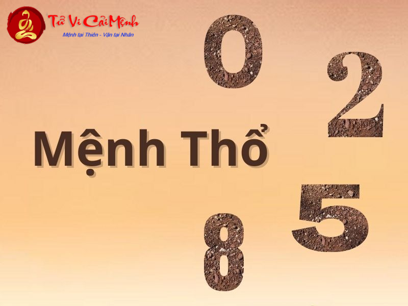 Khám Phá Bí Mật: Người Sinh Năm 1961 Hợp Số Nào và Sim Phong Thủy Mang Lại Tài Lộc?