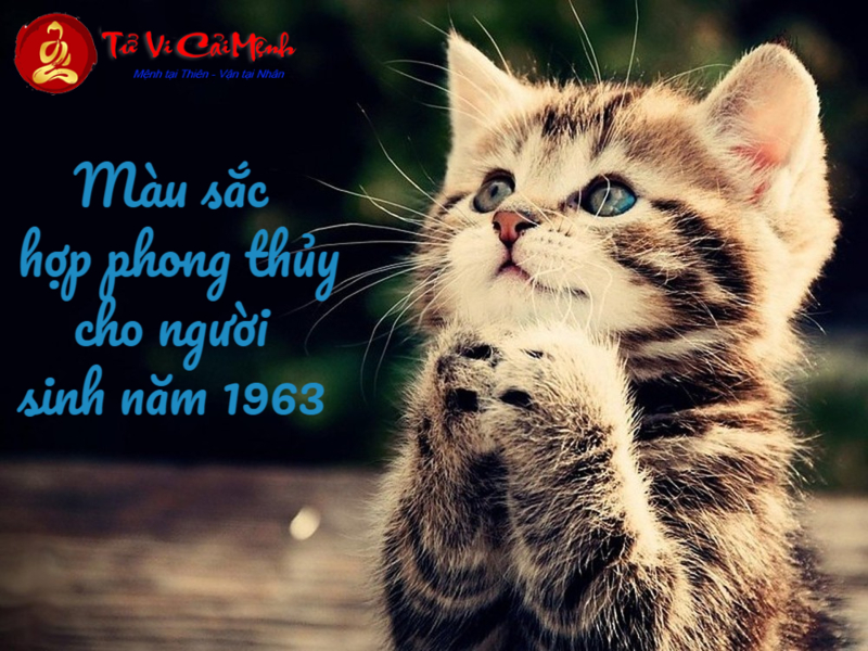 Sinh Năm 1963 Hợp Màu Gì? Bật Mí Bí Quyết Thu Hút Tài Lộc Qua Màu Sắc!