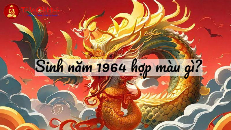 Sinh Năm 1964 Hợp Màu Gì? Khám Phá Ngay Bí Mật Màu Sắc Mang Lại Tài Lộc Và May Mắn