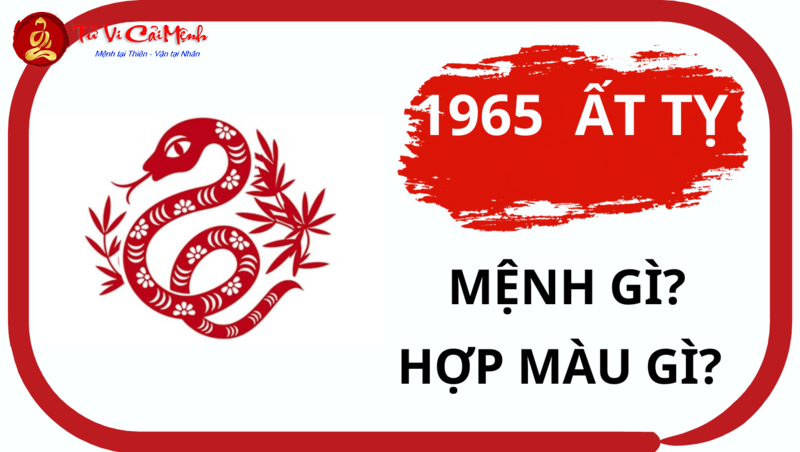 Tuổi Ất Tỵ 1965 – Bí Ẩn Mệnh Hỏa Và Cách Tối Ưu Phong Thủy