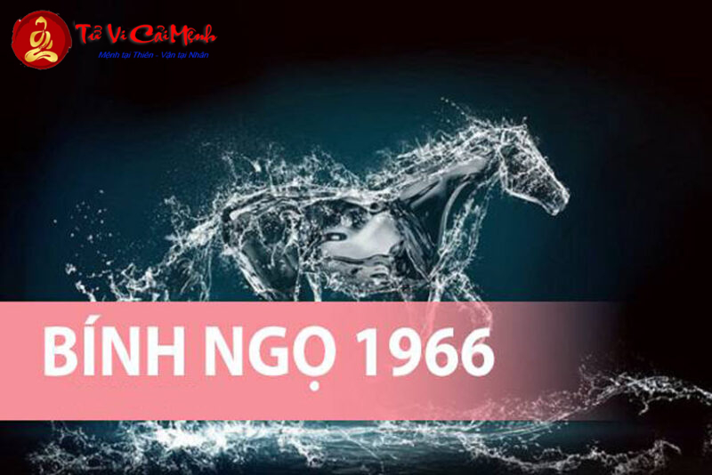 Hé Lộ Bí Quyết: Hướng Kê Giường Ngủ Mang Lại Tài Lộc Cho Người Sinh Năm 1966!