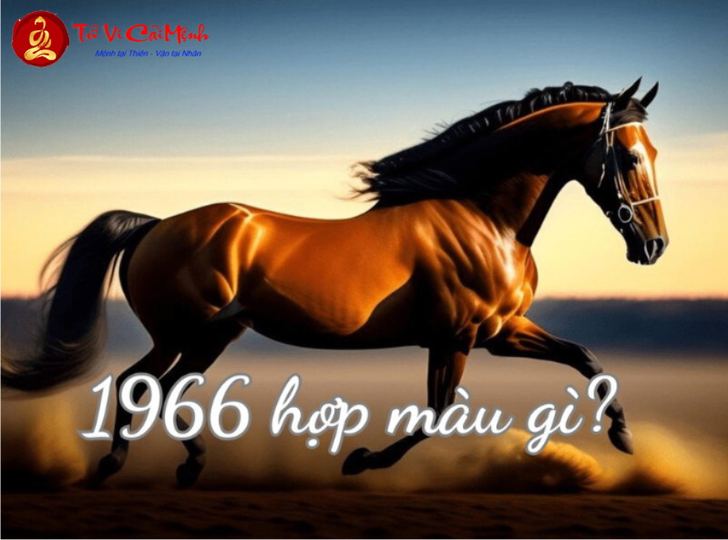 Sinh năm 1966 hợp màu gì? Hướng dẫn chọn màu sắc theo phong thủy mệnh Thiên Hà Thủy