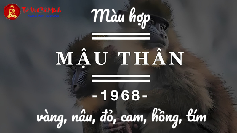 Bí Mật Phong Thủy Tuổi Mậu Thân 1968: Những Màu Sắc Mang Lại Tài Lộc Và May Mắn