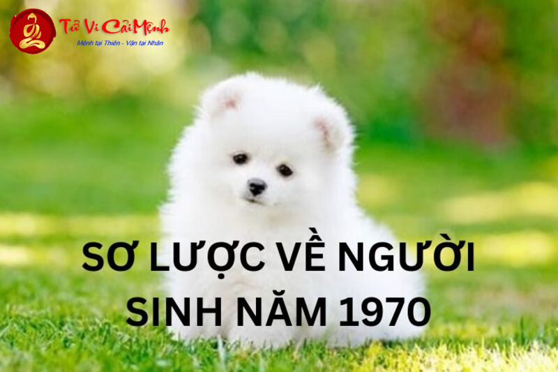 Khám Phá Bí Mật: Sinh Năm 1970 Hợp Số Nào Để Tài Lộc Đầy Nhà?