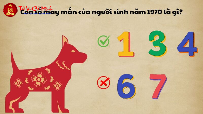 Khám Phá Bí Mật: Sinh Năm 1970 Hợp Số Nào Để Tài Lộc Đầy Nhà?