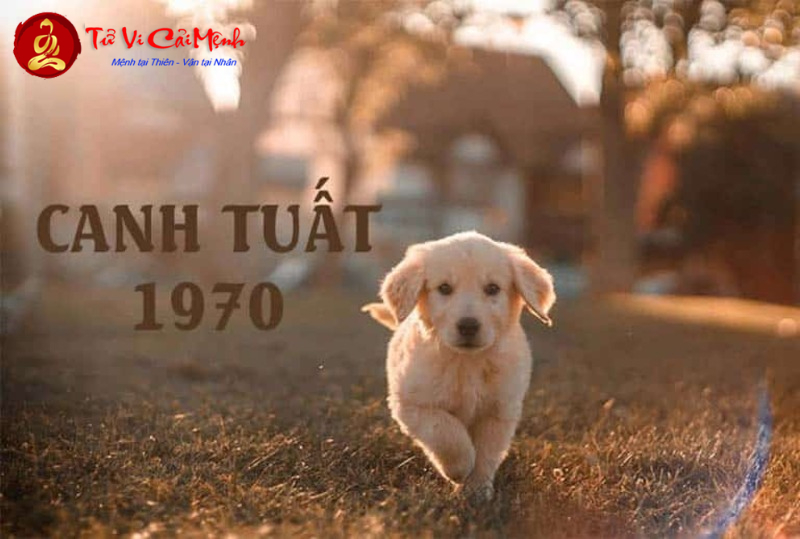 Người Sinh Năm 1970 Chọn Màu Xe Này Để Tăng Tài Lộc Và May Mắn Ngay Lập Tức!