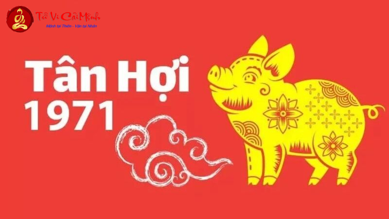 Sinh Năm 1971 Hợp Hướng Nào? Bí Quyết Phong Thủy Giúp Tân Hợi Đón Tài Lộc!