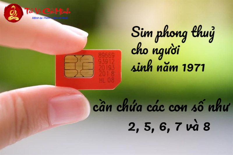 Bí Mật Phong Thủy 2024: Sinh Năm 1971 Hợp Số Nào Để Tài Lộc Đầy Nhà?