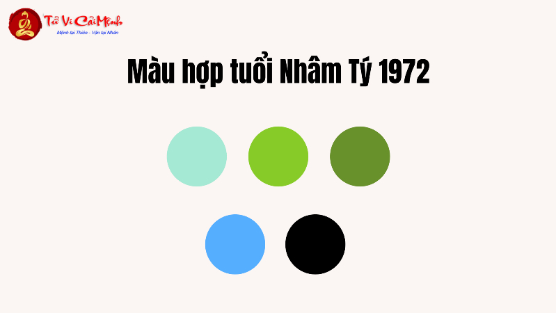 Sinh năm 1972 hợp màu gì? Bí quyết chọn màu phong thủy cho tuổi Nhâm Tý