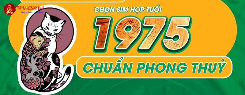 Khám Phá Con Số Bí Mật Và Sim Phong Thủy Giúp Tuổi Ất Mão 1975 Phát Tài!