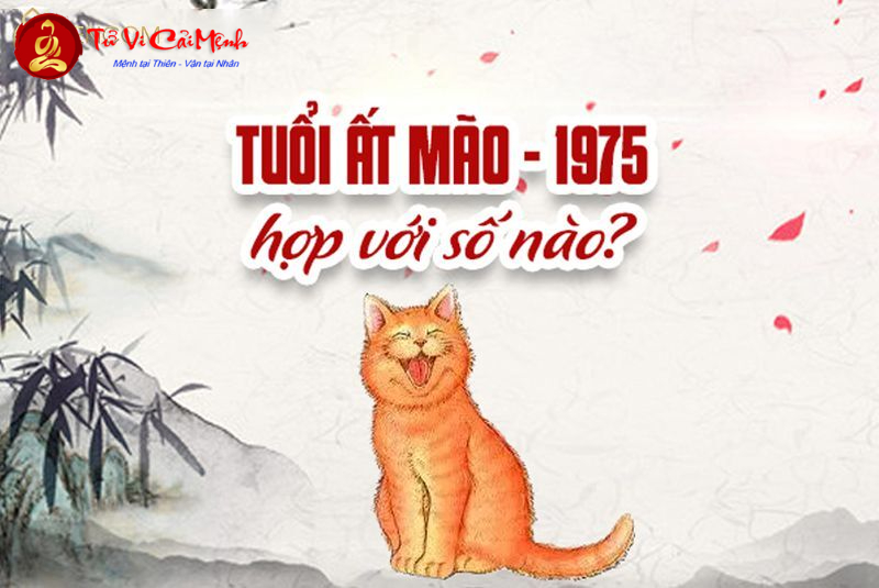 Khám Phá Con Số Bí Mật Và Sim Phong Thủy Giúp Tuổi Ất Mão 1975 Phát Tài!