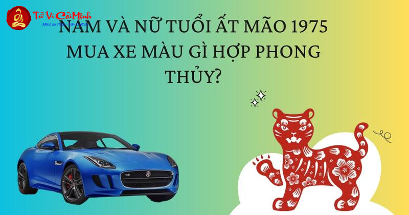 Sinh Năm 1975 Mua Xe Màu Gì? Bí Quyết Chọn Màu Xe Hợp Phong Thủy Cho Người Tuổi Ất Mão