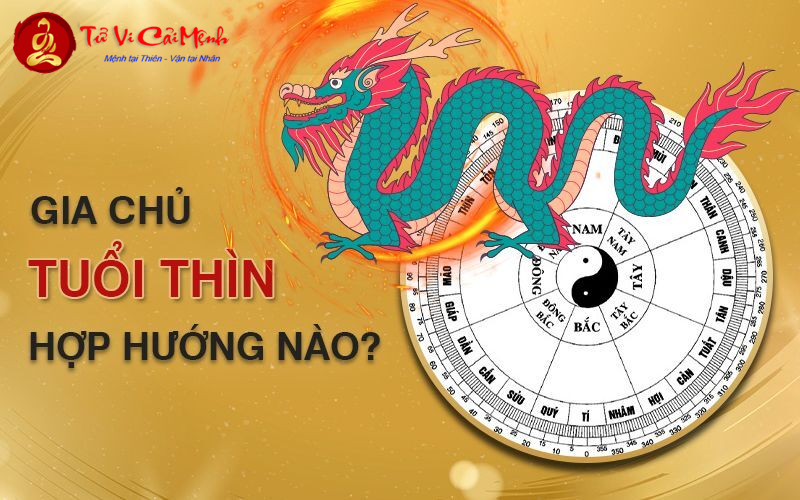 Khám Phá Bí Ẩn Hướng Nhà Hợp Cho Người Sinh Năm 1976: Tăng Tài Lộc, Hạnh Phúc