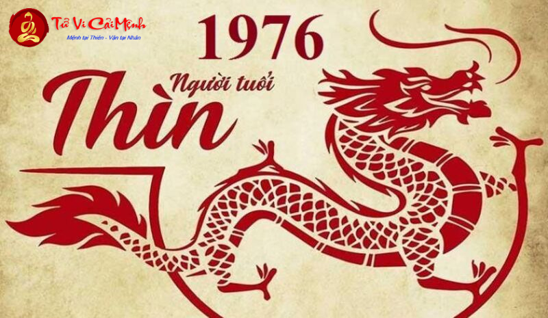 Bí Mật Phong Thủy: Sinh Năm 1976 Mua Xe Màu Gì Để Hút Tài Lộc, Đón May Mắn?