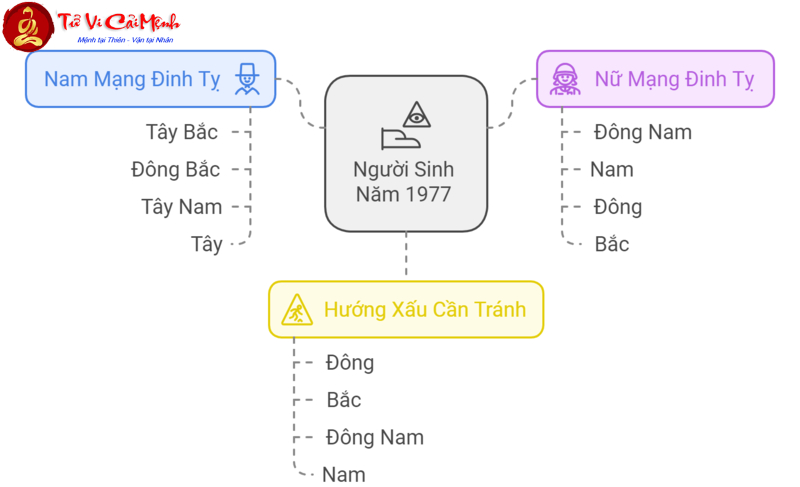 Hé Lộ Bí Quyết Chọn Hướng Bàn Làm Việc Giúp Tuổi Đinh Tỵ 1977 Bứt Phá Thành Công