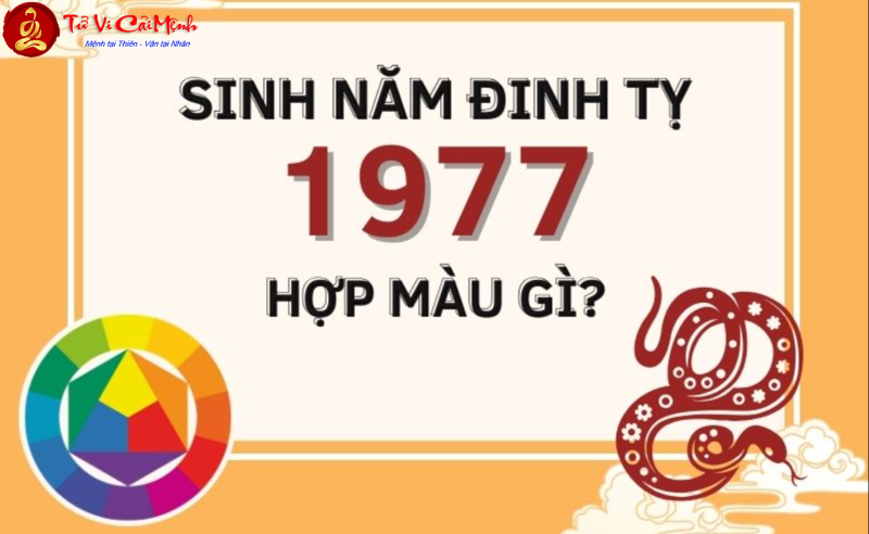 Sinh Năm 1977 Hợp Màu Gì? Bí Mật Phong Thủy Giúp Tuổi Đinh Tỵ Hút Tài Lộc