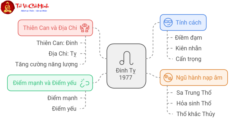 Khám Phá Con Số May Mắn Cho Người Sinh Năm 1977 – Bí Quyết Chọn Sim Phong Thủy Tài Lộc!