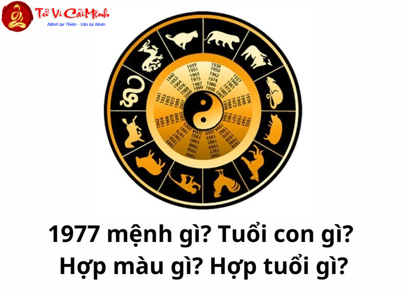 Tuổi Đinh Tỵ 1977 – Khám Phá Vận Mệnh Và Bí Quyết Phong Thủy