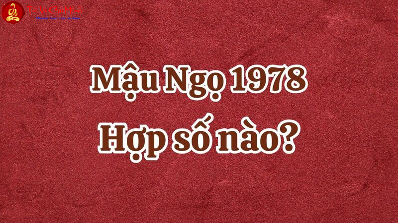 Khám Phá Bí Mật: Người Sinh Năm 1978 Hợp Số Nào Để Hút Tài Lộc và May Mắn?