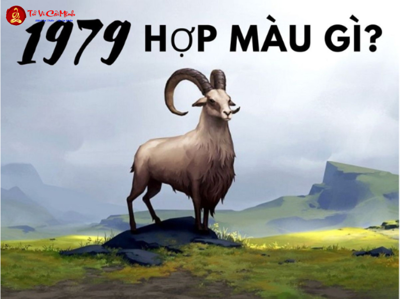 Sinh năm 1979 hợp màu gì? Bí quyết phong thủy cho người tuổi Kỷ Mùi