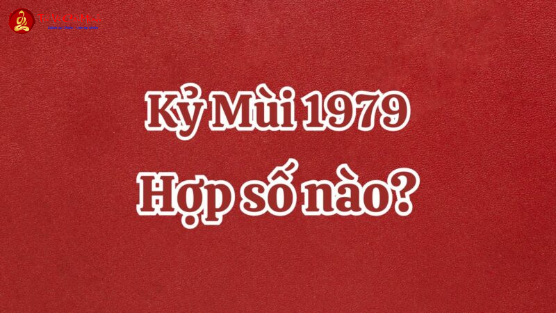 Sinh Năm 1979 Hợp Số Mấy? Bí Mật Phong Thủy Giúp Tuổi Kỷ Mùi Bứt Phá Tài Lộc!