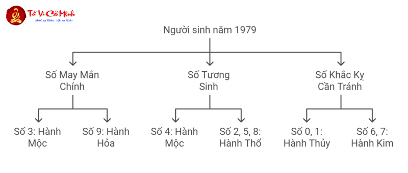 Sinh Năm 1979 Hợp Số Mấy? Bí Mật Phong Thủy Giúp Tuổi Kỷ Mùi Bứt Phá Tài Lộc!