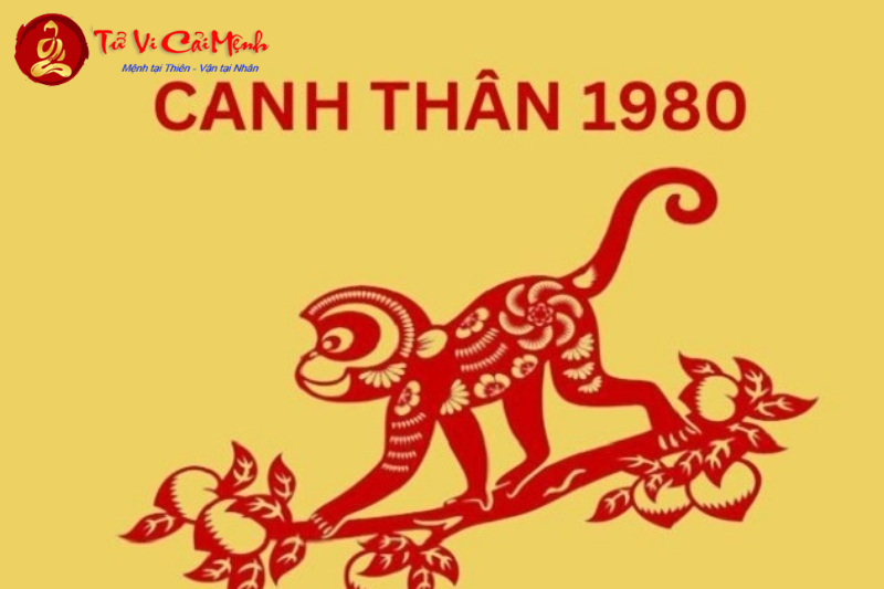 Sinh Năm 1980 Hợp Màu Gì? Khám Phá Bí Mật Phong Thủy Mang Lại Tài Lộc Và Bình An!