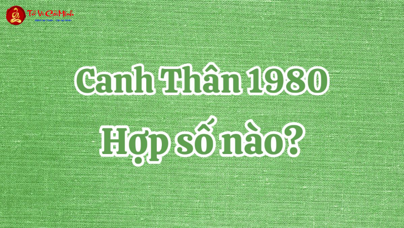 Khám Phá Bí Mật: Người Sinh Năm 1980 Hợp Số Nào Để Tăng Tài Lộc Và May Mắn?
