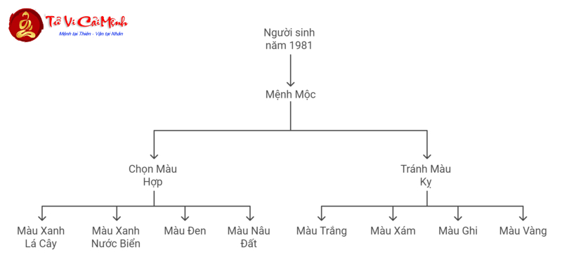 Khám Phá Màu Sắc May Mắn Cho Người Sinh Năm 1981 – Tăng Vận Khí Ngay Hôm Nay!