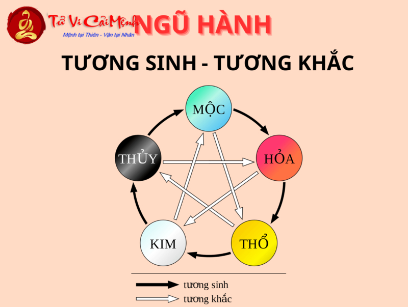 Sinh Năm 1981 Hợp Số Gì? Chọn Sim Phong Thủy Tài Lộc, Phát Tài Cho Tuổi Tân Dậu