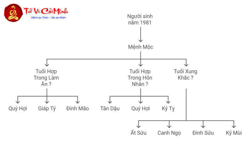 Giải Mã Vận Mệnh Tuổi Tân Dậu 1981 – Bí Mật Phong Thủy Mệnh Mộc